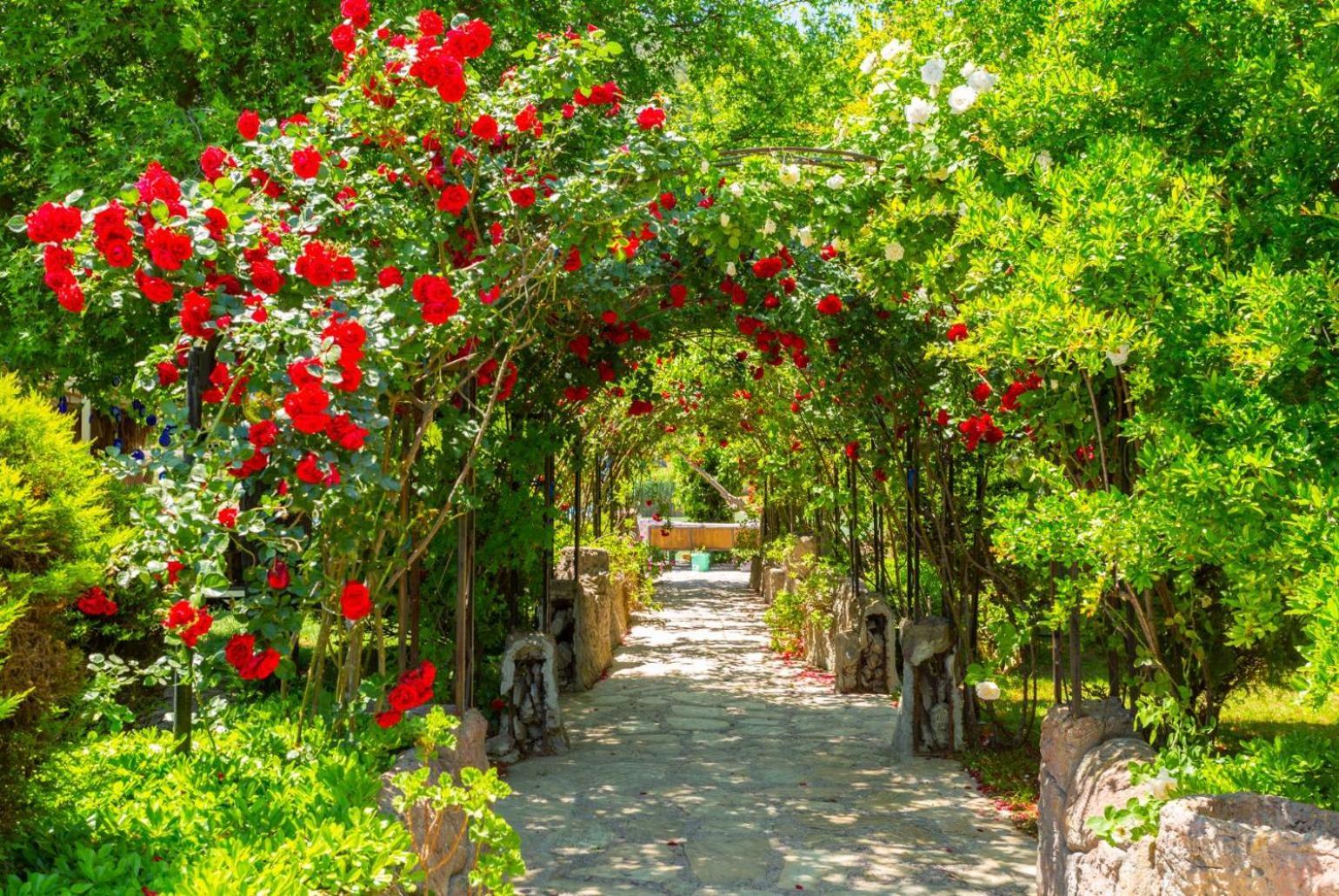 Villa Emel Paradise Muğla Ngoại thất bức ảnh